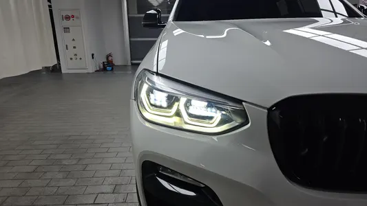 BMW X4 (G02) xDrive20d M 2019 22