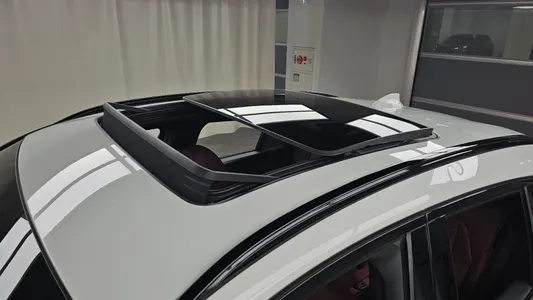 BMW X4 (G02) xDrive20d M 2019 27