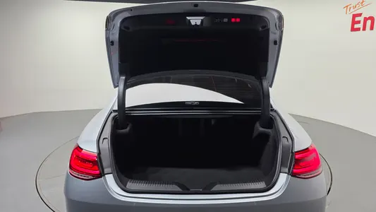 Mercedes-Benz CLS-Class C257 CLS300d 4MATIC 2023 20