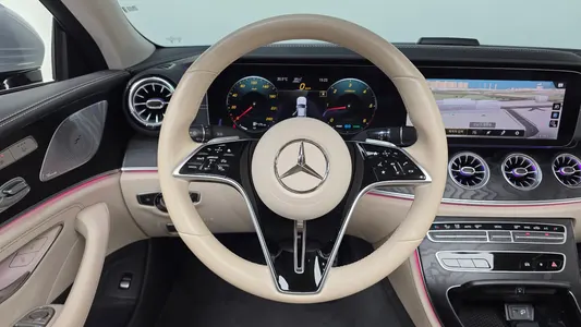 Mercedes-Benz CLS-Class C257 CLS300d 4MATIC 2023 31