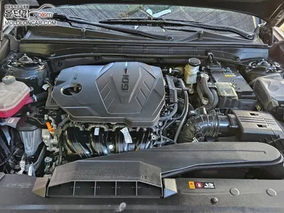 Hyundai (GN7) 2.5 2WD 2023 6