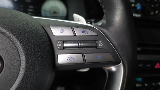 Hyundai 팰리세이드 2.2 2WD 2023 31