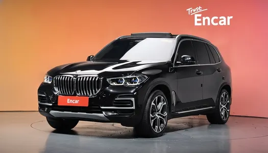 BMW X5 (G05) xDrive 30d xLine 2023 20