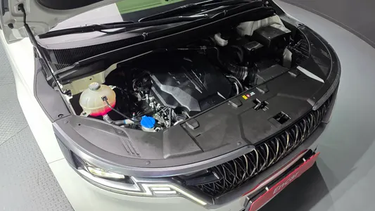 Kia Carnival 9 () 2021 6