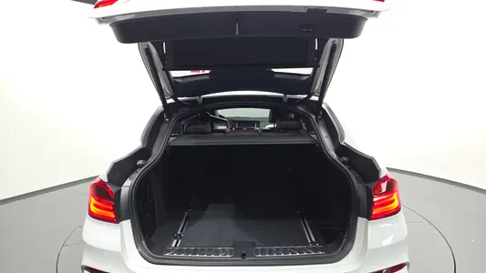 BMW X4 (F26) xDrive20d M 2018 20