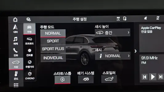 Porsche (PO536) 4.0 2021 17