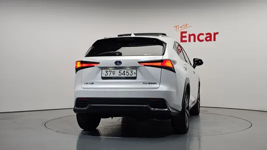 Lexus NX300h 2019 4
