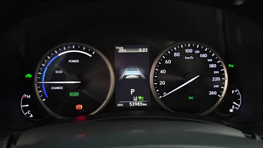 Lexus NX300h 2019 8