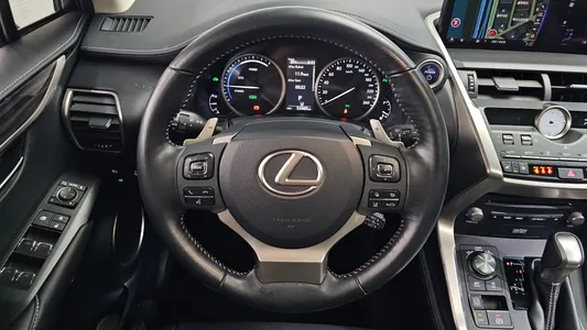 Lexus NX300h 2019 13