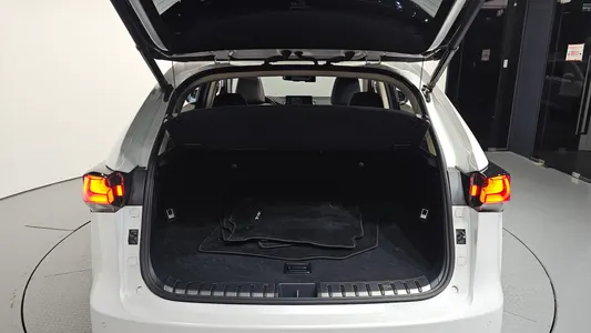Lexus NX300h 2019 20