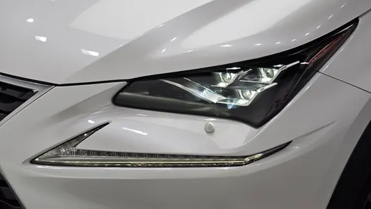 Lexus NX300h 2019 22