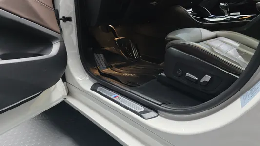 BMW X4 (G02) xDrive20i M 2023 30