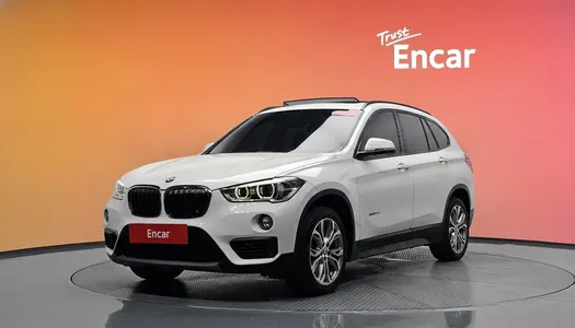 BMW X1 (F48) xDrive 20d 2018 20
