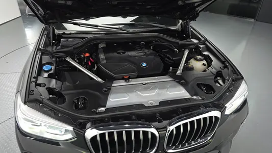 BMW X4 (G02) xDrive20i M X 2021 5