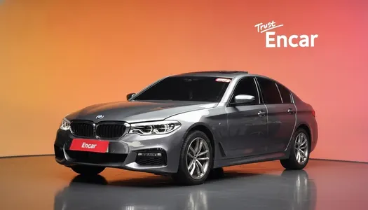 BMW 5 Series (G30) 520d xDrive M 2017 20