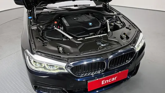 BMW 5 Series (G30) 520i M 2020 6
