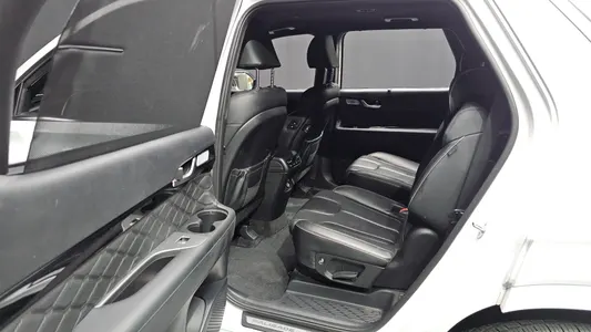 Hyundai Palisade 2.2 2WD 2022 19