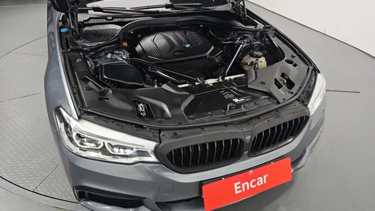 BMW 5 Series (G30) 520d M 2017 6