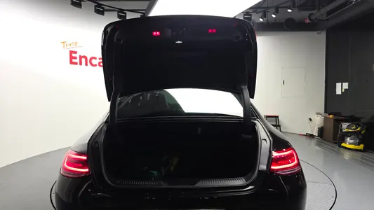 Mercedes-Benz CLS-Class C257 CLS400d 4MATIC 2019 33