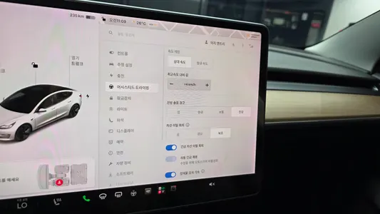 Tesla 3 AWD 2021 17