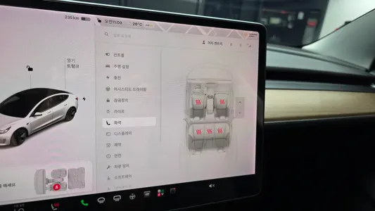 Tesla 3 AWD 2021 18