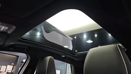 BYD 돌핀 2026 19