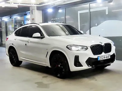 BMW X4 (G02) xDrive20i M 2025