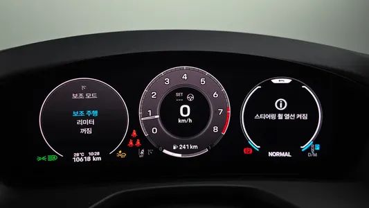 Porsche (976) 2.9 AWD 2025 8