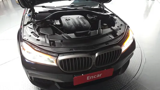 BMW 7 Series (G11) 740Ld xDrive M 2017 6