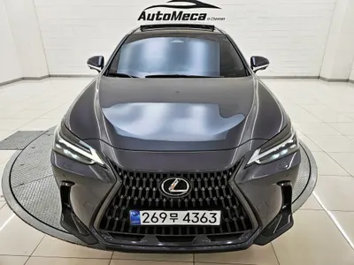Lexus NX350h 2 2024