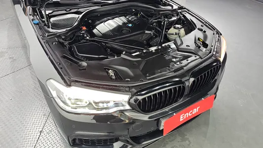 BMW 5 Series (G30) 520d M 2017 6