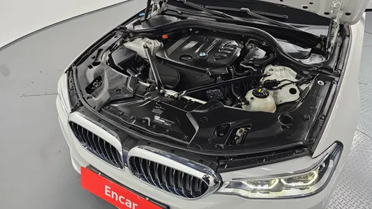 BMW 5 Series (G30) 520d M 2017 5