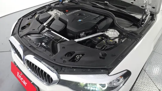 BMW 5 Series (G30) 520i 2019 5