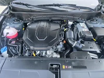Hyundai (NX4) 2.0 2WD 2022 6