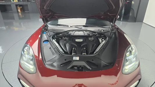 Porsche (971) 2.9 AWD 2021 5