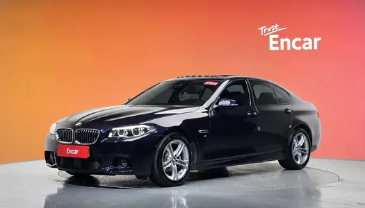 BMW 5 Series (F10) 528i xDrive M 2016 20