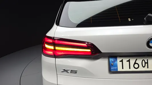BMW X5 (G05) xDrive 30d xLine 2019 23