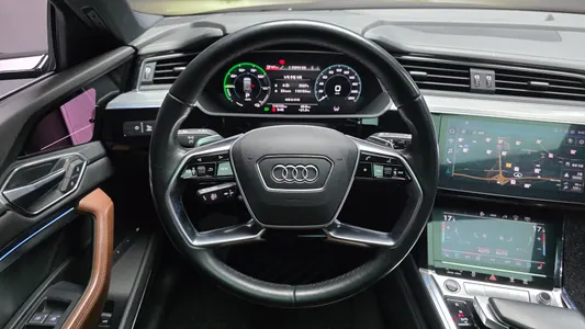 Audi e- 55 2021 14
