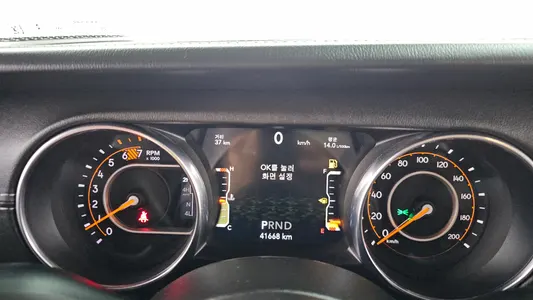 Jeep (JL) 2.0 4 2019 8
