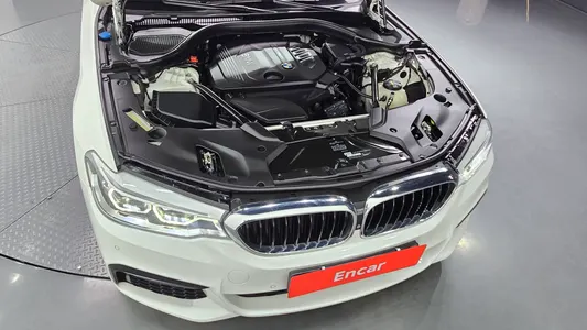 BMW 5 Series (G30) 520d xDrive M 2017 5