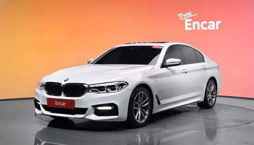 BMW 5 Series (G30) 520d xDrive M 2017 20