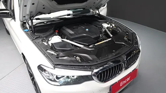 BMW 5 Series (G30) 530i 2019 6