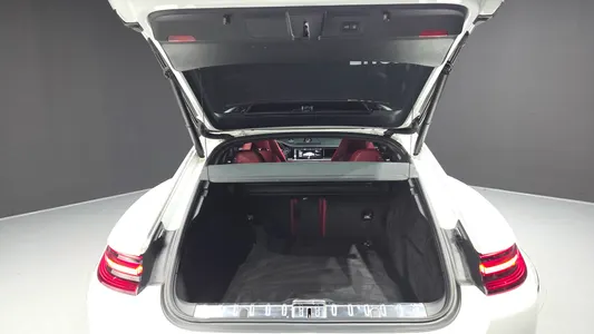 Porsche (971) 2.9 AWD E- 2020 19