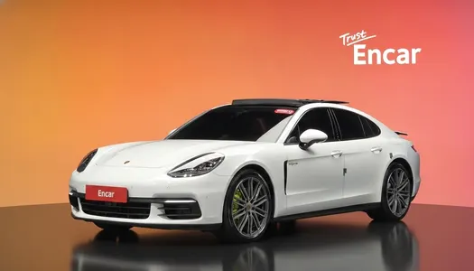 Porsche (971) 2.9 AWD E- 2020 20
