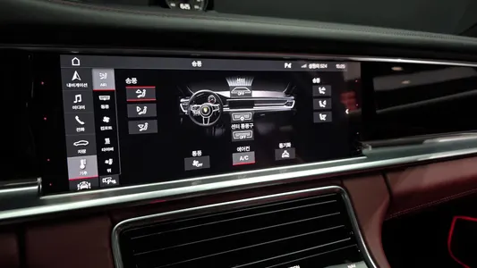 Porsche (971) 2.9 AWD E- 2020 15