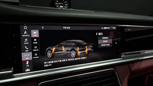 Porsche (971) 2.9 AWD E- 2020 16