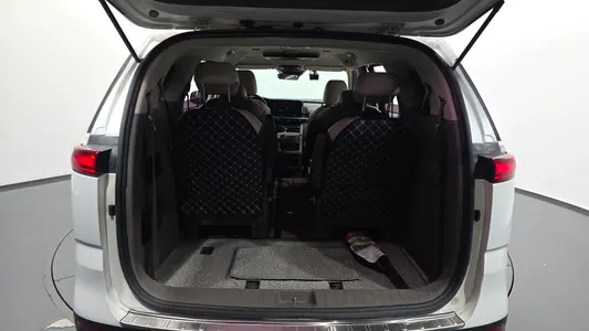 Kia Carnival (LPG) 2021 20