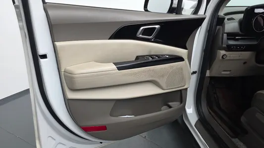 Kia Carnival (LPG) 2021 24