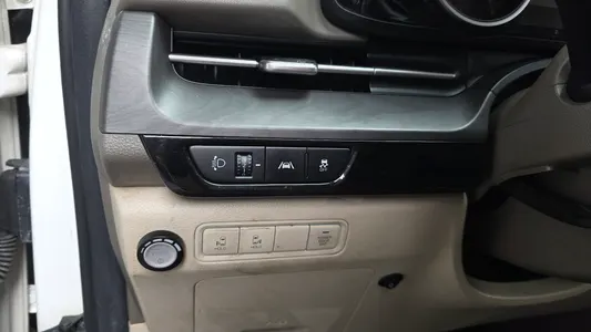 Kia Carnival (LPG) 2021 31