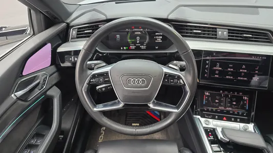 Audi e- 55 2021 14